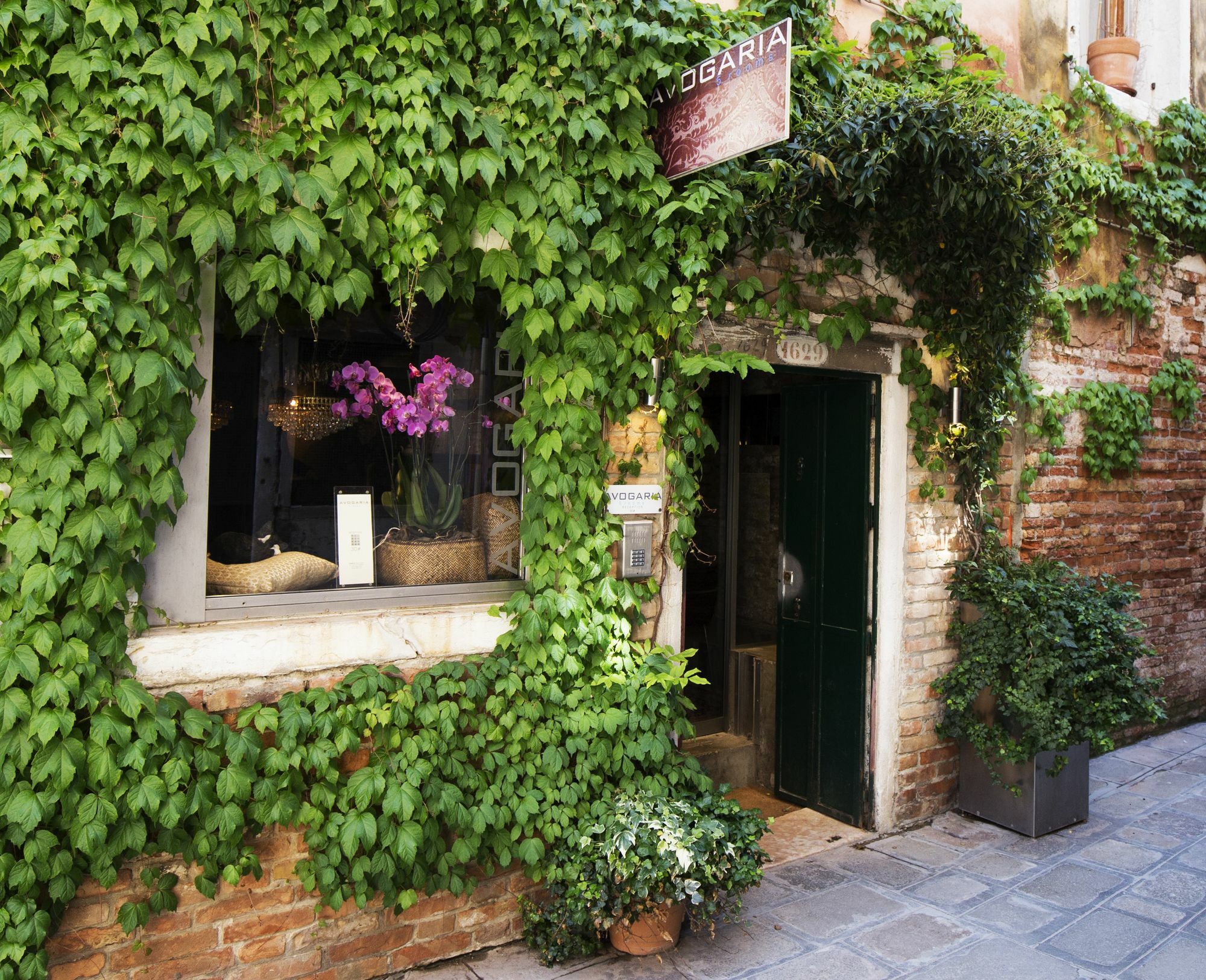 Gasthof Avogaria 5 Venedig