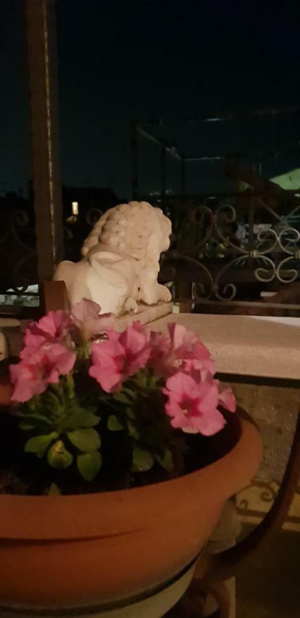 Casa Patricia