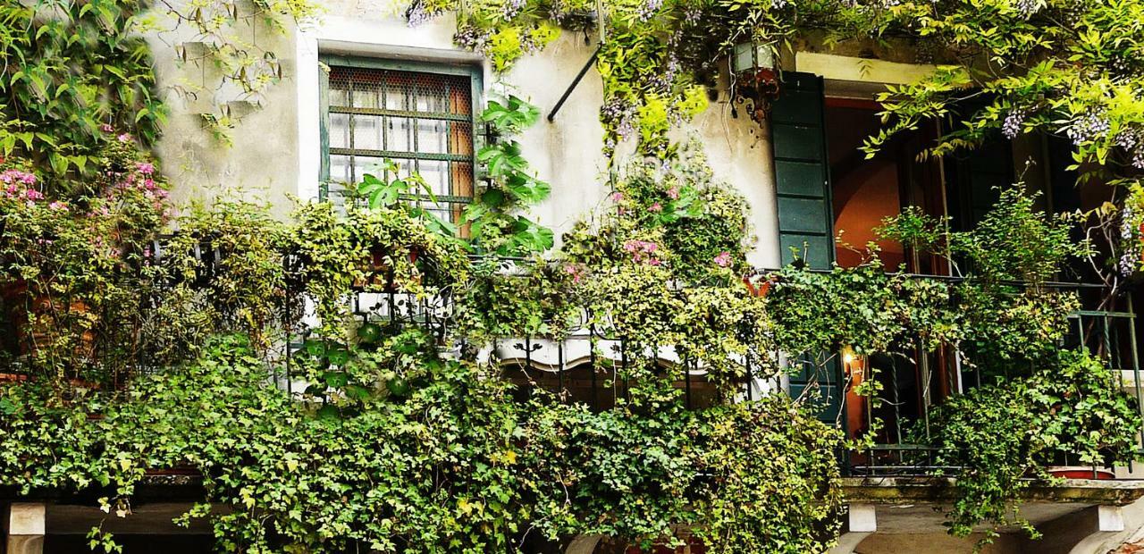 Apartment Ca' Dri