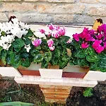 Ca\'Tronconi Ai Frari