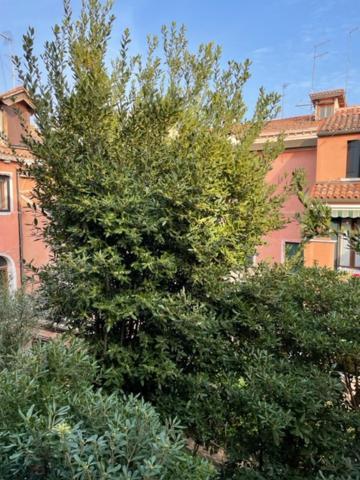Apartment Ca' Della Carita'