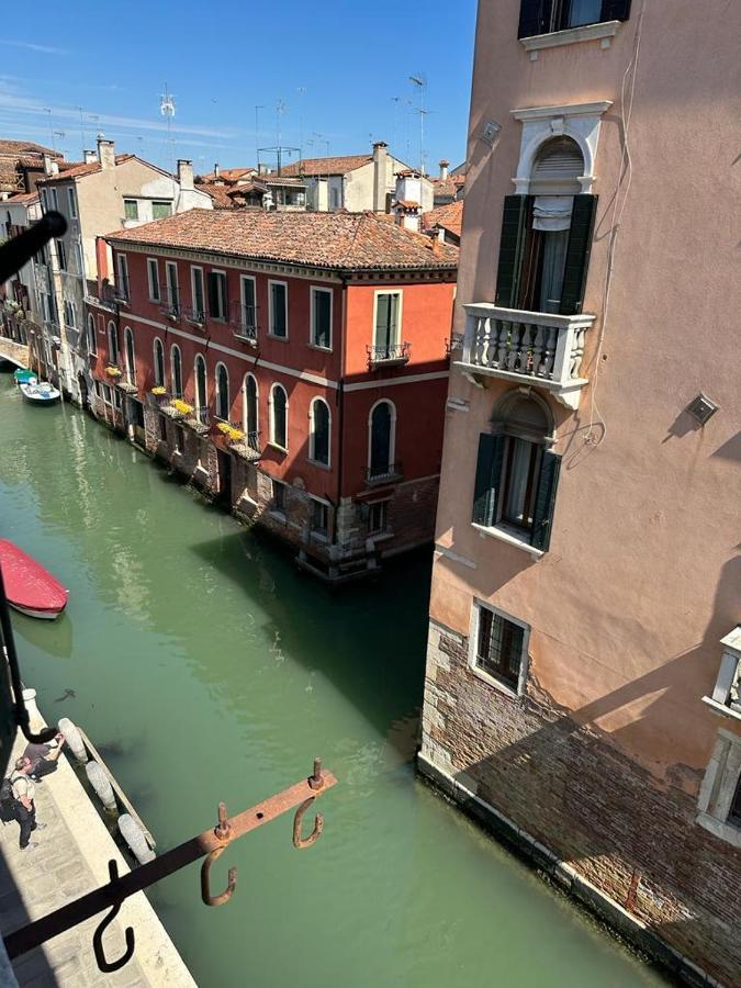 Rosa Venise