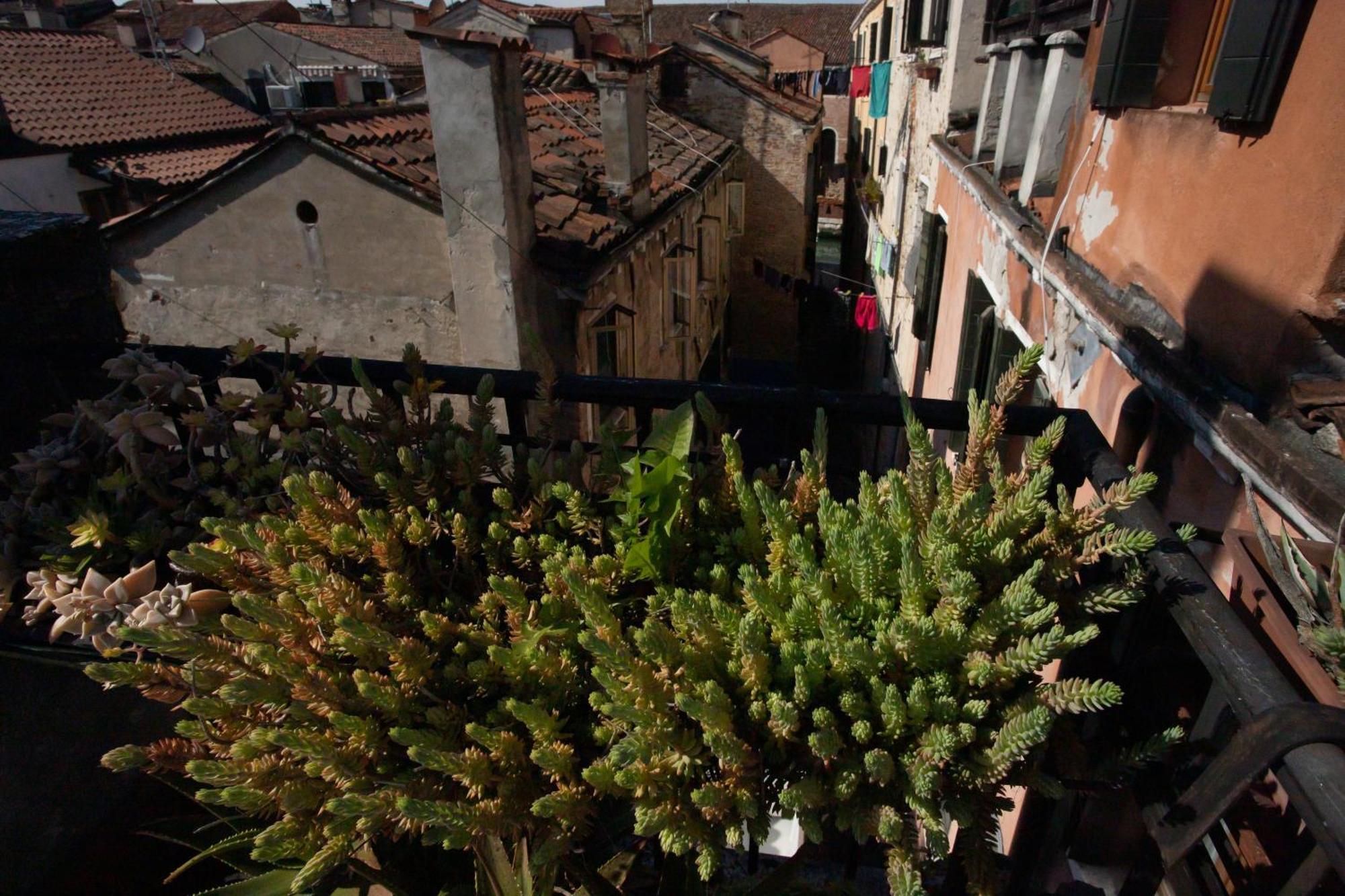 Casa Loredana * Venedig