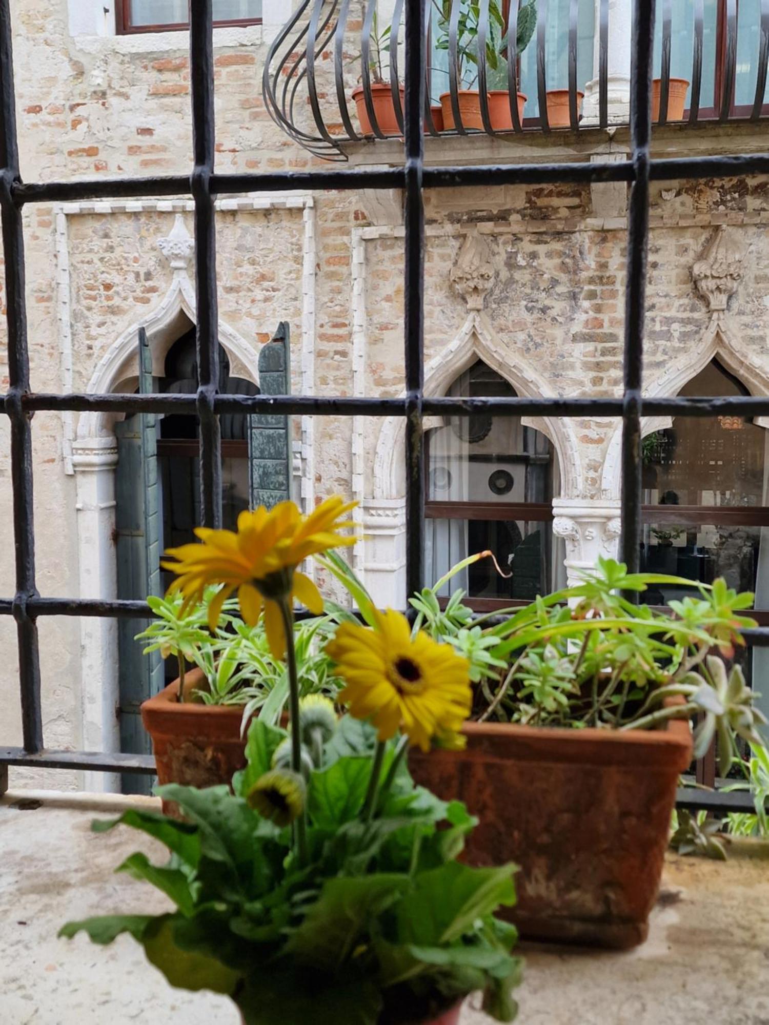 Ca Barbaro With Altana-appartamenti Storici- Venetië