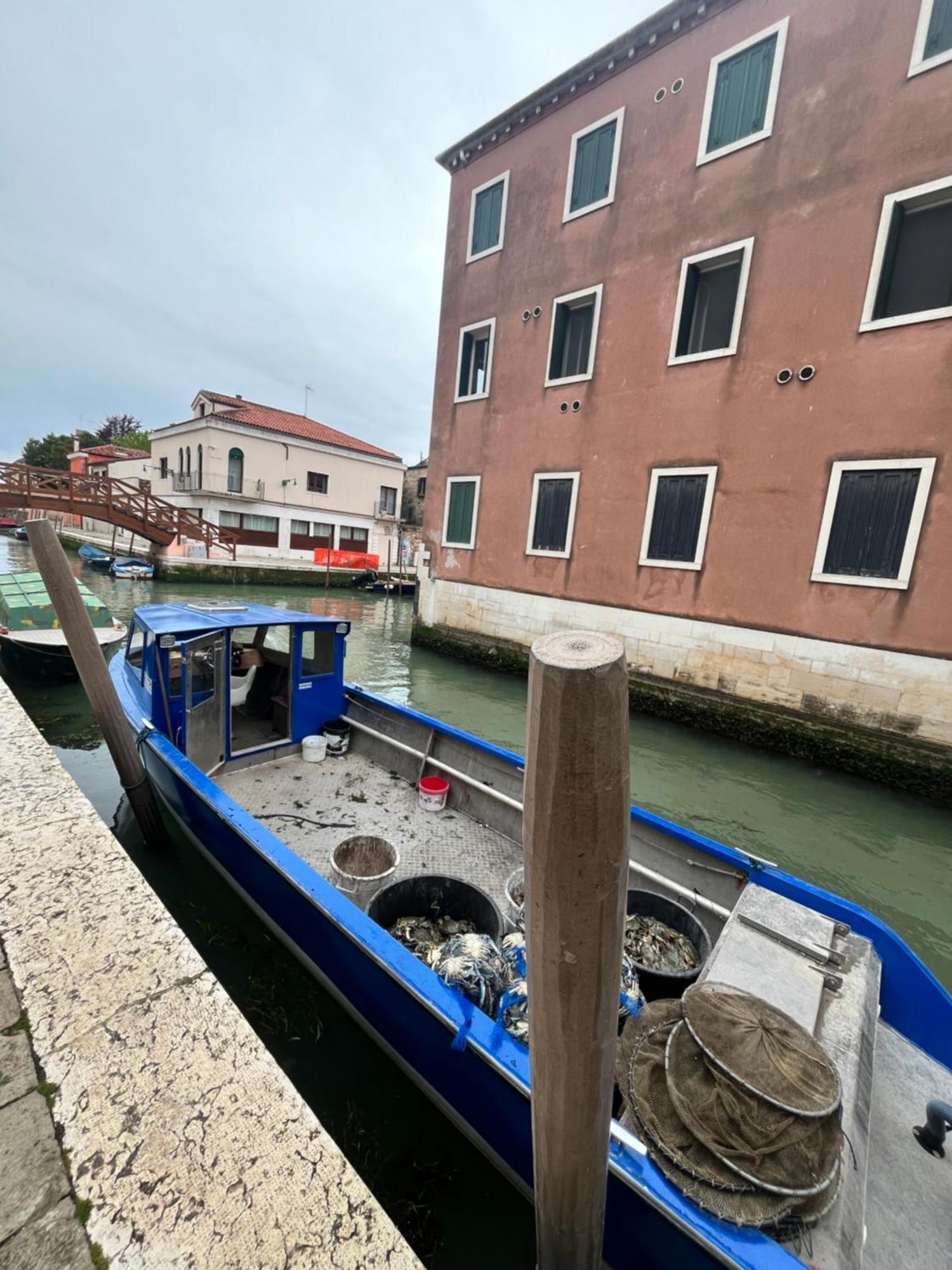 Ninamar Giudecca House