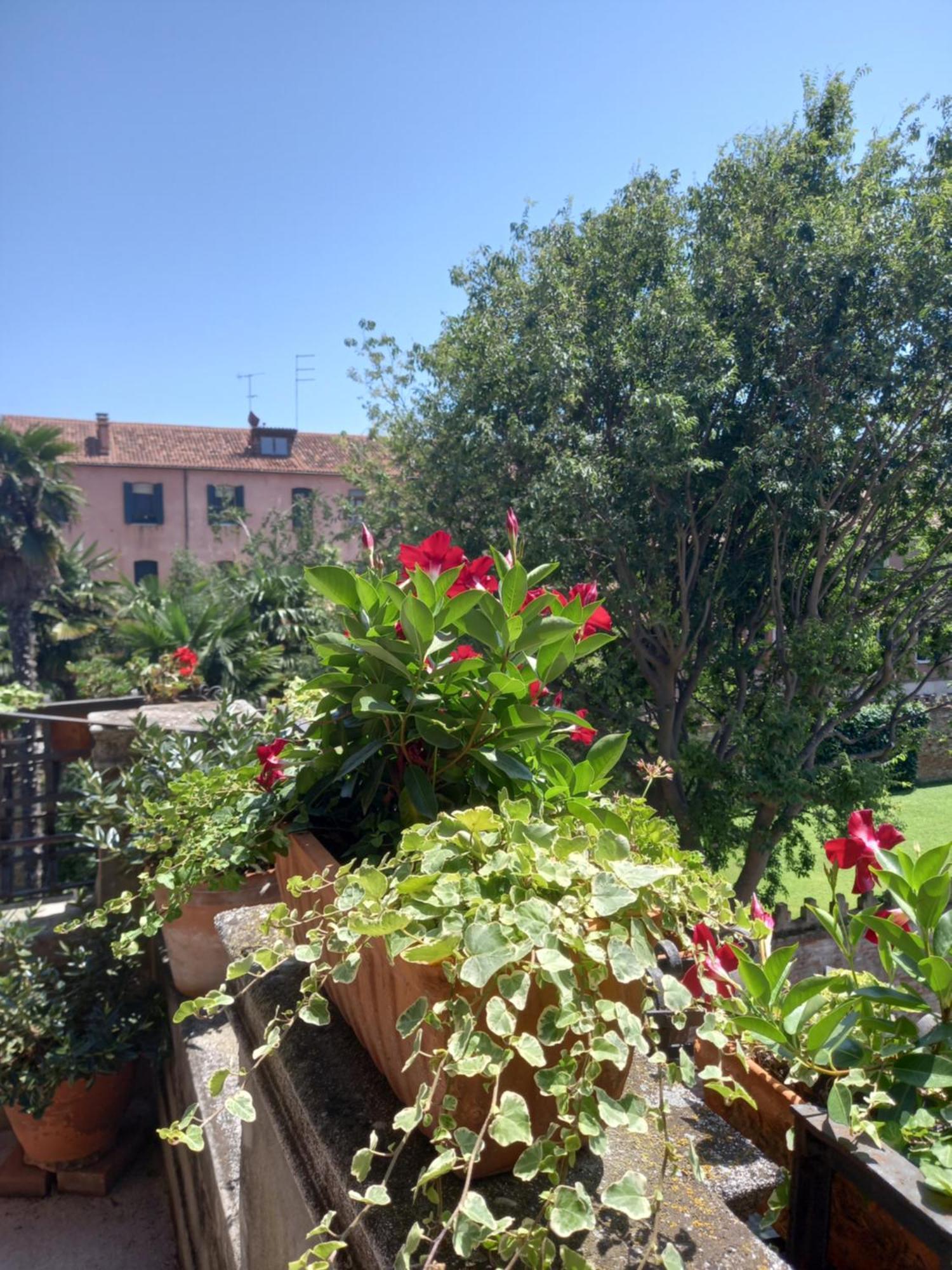 Giudecca Palanca 664 Appartement Venise
