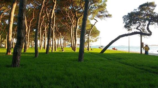 Holiday home Ampia Casa A Due Passi Dalla Biennale Venice