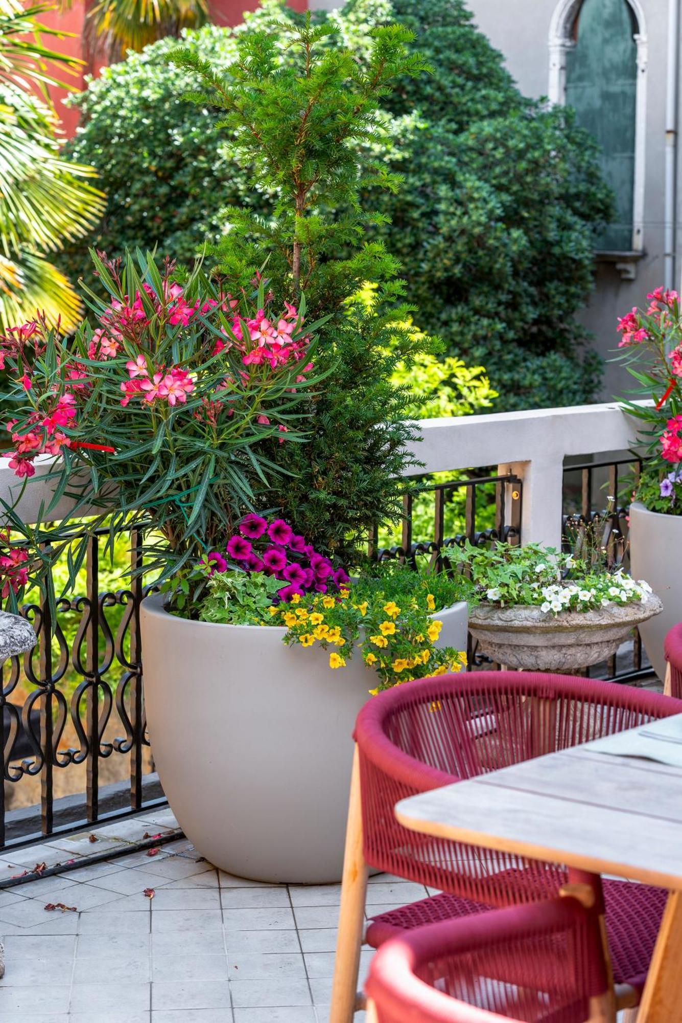 Apartment San Barnaba Palace R&r Venice