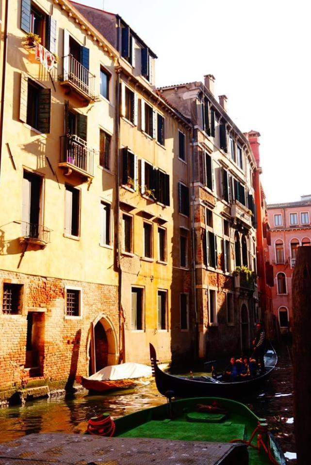 Youth Palace Venise