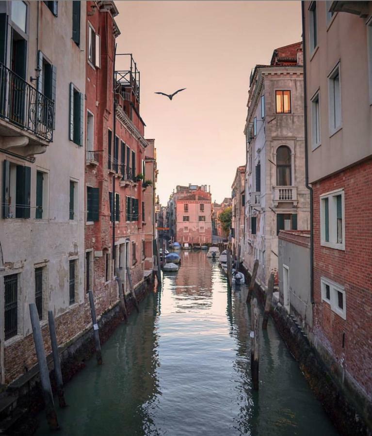 Canal Dream Cosy With Canal View Vakantiehuis *