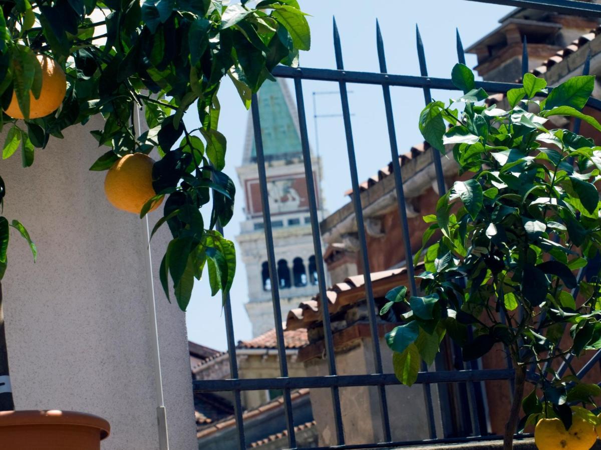 Apartment - Grande Ed Elegante In San Marco