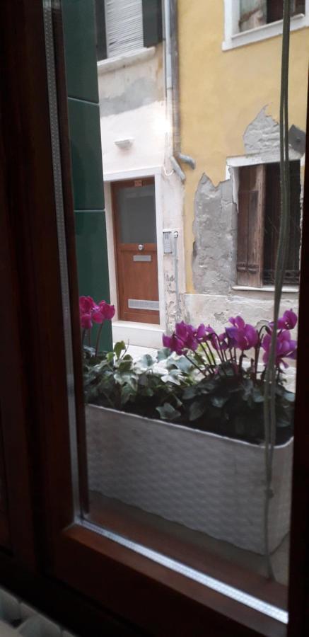 Design House Biennale Venedig