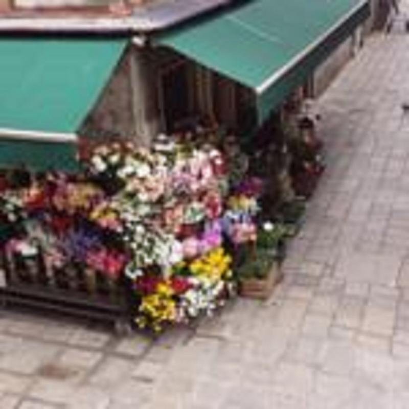 Angolo Fiorito Venetië